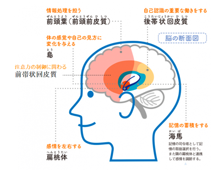 トラウマ(PTSD)のメカニズム